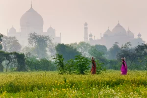 A Journey Through Delhi, Agra, and Jaipur